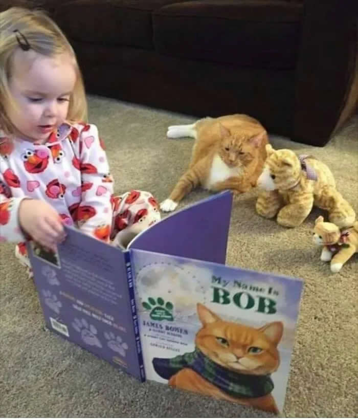 A young girl reads a cat-themed book while an orange cat beside her appears to wrestle with a stuffed tiger toy.
