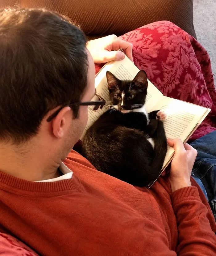 A man reads an open book while a black-and-white cat comfortably sits on the pages, looking directly at the camera.