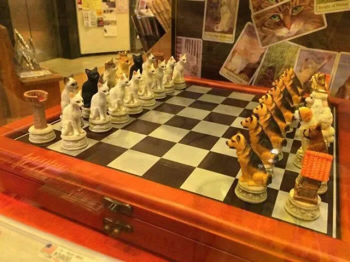 A decorative chess set with rows of cat figurines facing each other across a black-and-white chessboard, staged like a feline showdown.