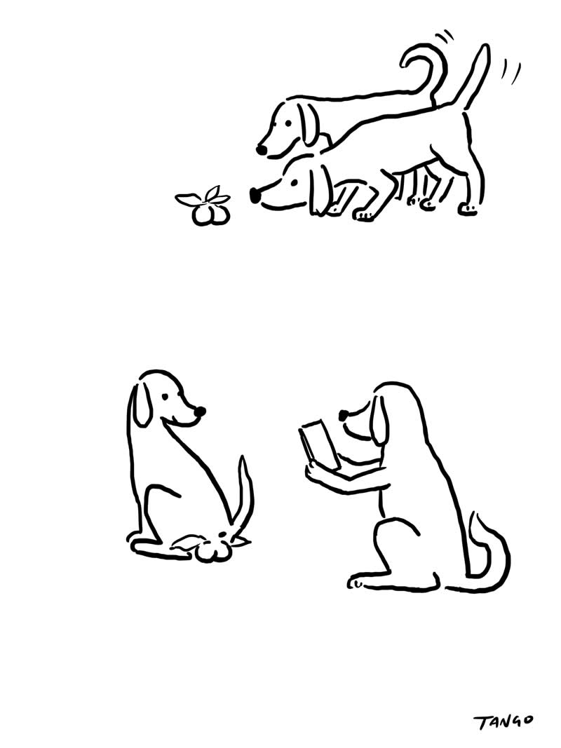 Laugh, Then Think: 36 Funny and Thought-Provoking Illustrations by Tango Gao 68 Funny and Thought-Provoking Illustrations by Tango Gao
