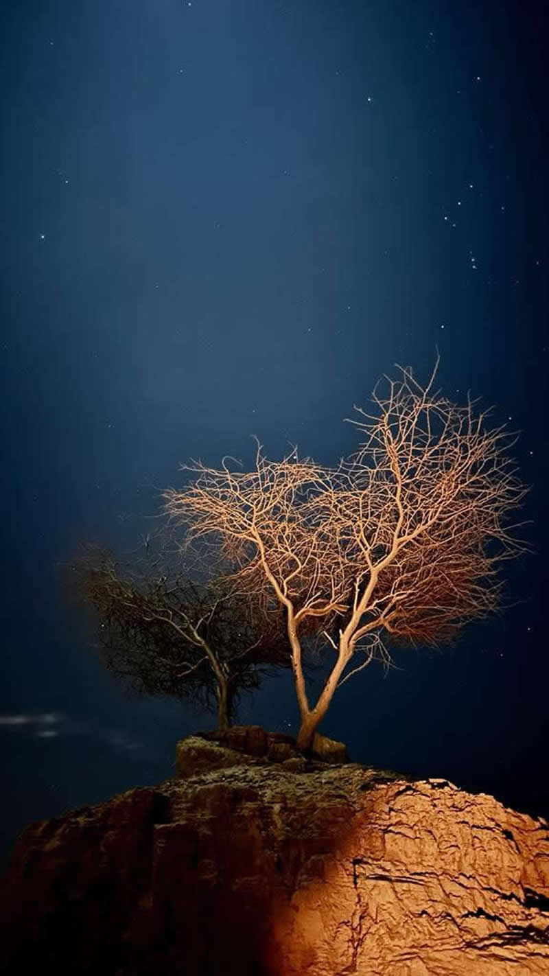 Gurushots Night Photography Winners Photo Challenge