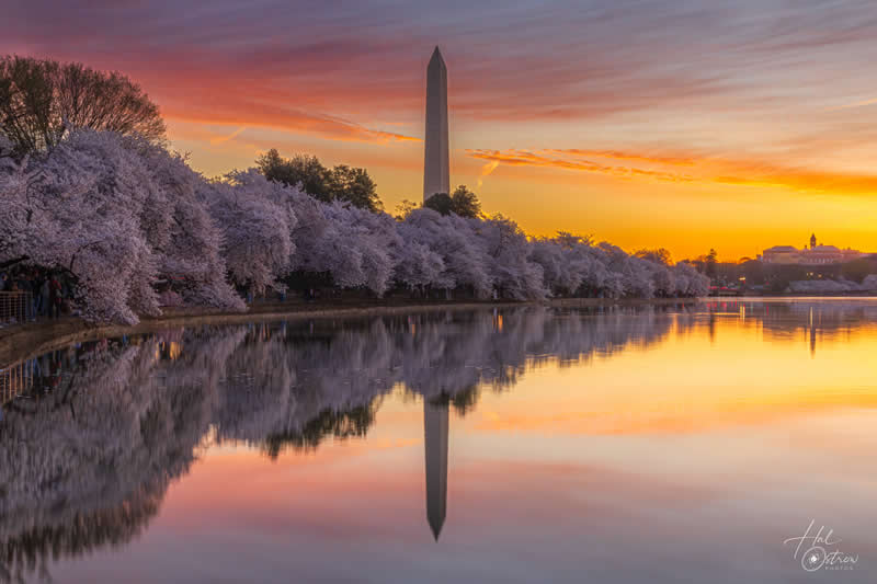 Gurushots Spring Snapshots Winners Photo Challenge