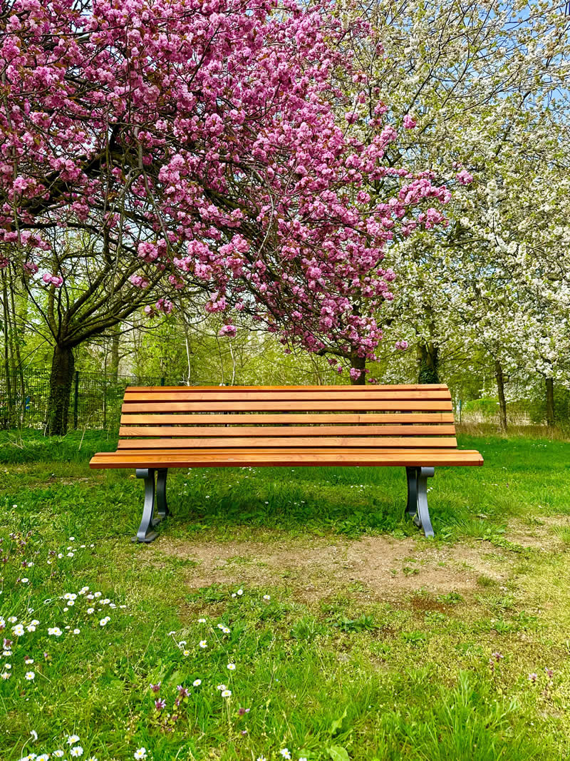 Gurushots Spring Snapshots Winners Photo Challenge
