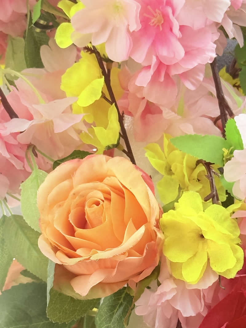 Gurushots Spring Snapshots Winners Photo Challenge