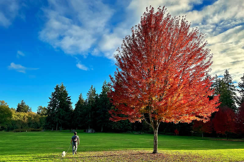 Gurushots Spring Snapshots Winners Photo Challenge