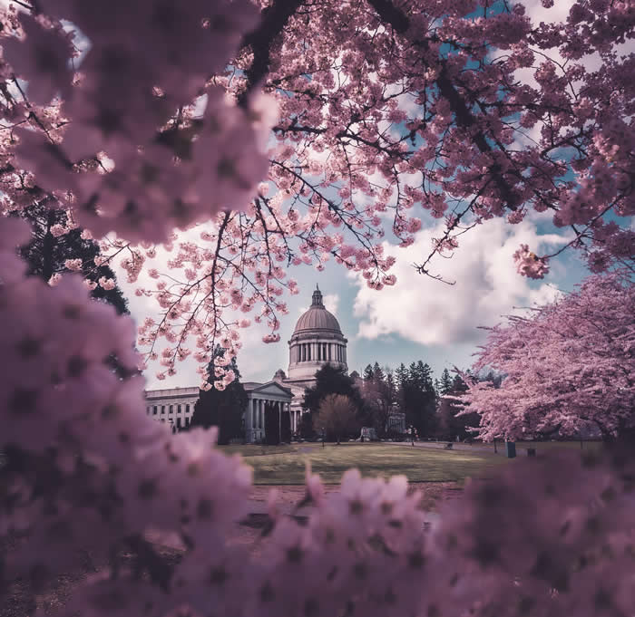 ITAP of the Washington State Capital