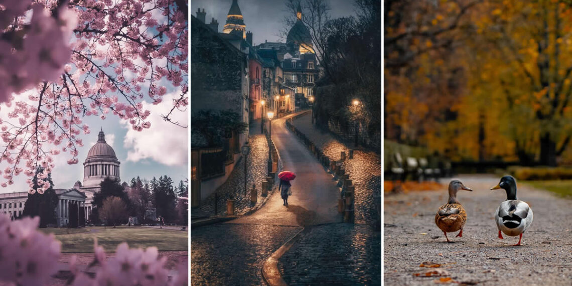 Wow-Worthy Pictures That Prove Photography Is for Everyone