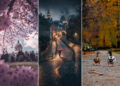 Wow-Worthy Pictures That Prove Photography Is for Everyone