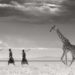 Monovisions Black and White Awards Winners