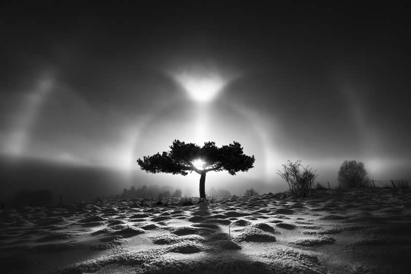 Earth in Elegant Monochrome: 40 Landscape Winners From the MonoVisions Awards 2026 46 In the Shadow of a Parhelion by Michael Arzur, France - MonoVisions Black and White Awards Landscape 2026 Winners