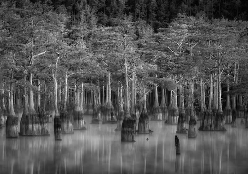 Earth in Elegant Monochrome: 40 Landscape Winners From the MonoVisions Awards 2026 52 What Lurks Beneath by Jim Guerard, United States - MonoVisions Black and White Awards Landscape 2026 Winners