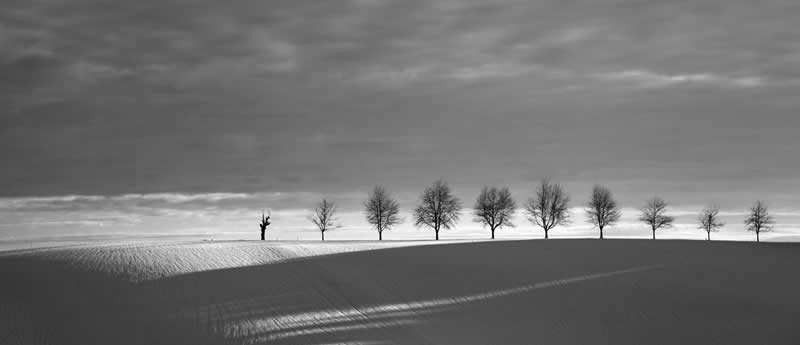 Earth in Elegant Monochrome: 40 Landscape Winners From the MonoVisions Awards 2026 57 From shadow to light by Hans Peter Rank, Germany - MonoVisions Black and White Awards Landscape 2026 Winners
