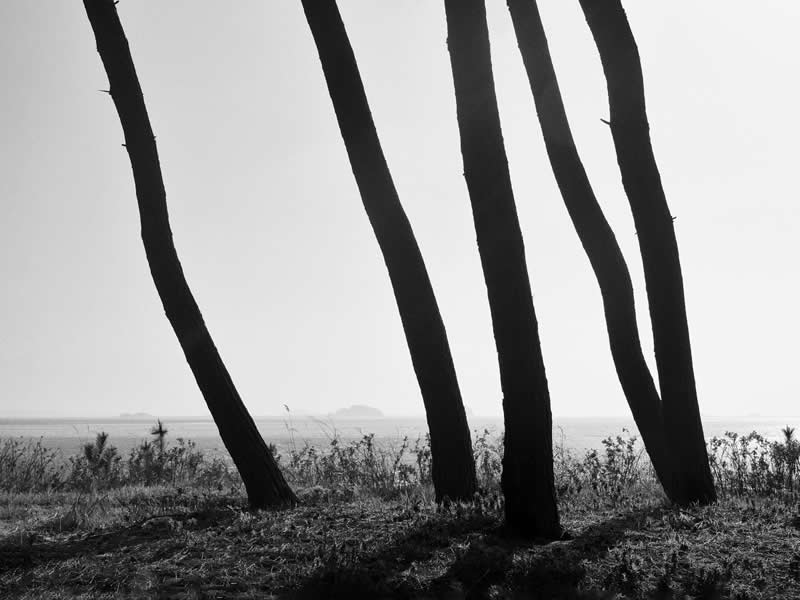 Earth in Elegant Monochrome: 40 Landscape Winners From the MonoVisions Awards 2026 64 The Yielding by Sue Park, United States - MonoVisions Black and White Awards Landscape 2026 Winners