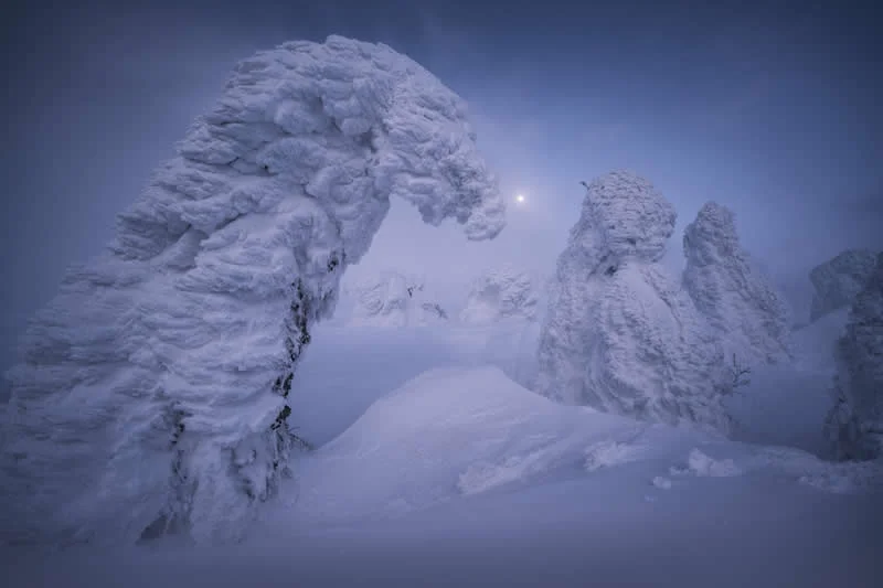 Photographer of the Year - Third Place: Koki Dote - Natural Landscape Photography Awards 2026 Winners