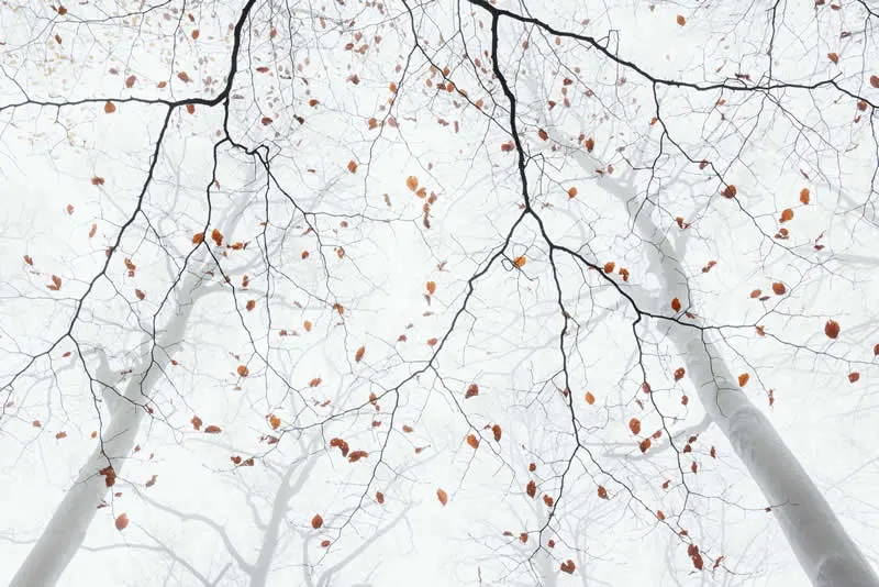 Photographer of the Year - Fifth Place: Martin Rak - Natural Landscape Photography Awards 2026 Winners