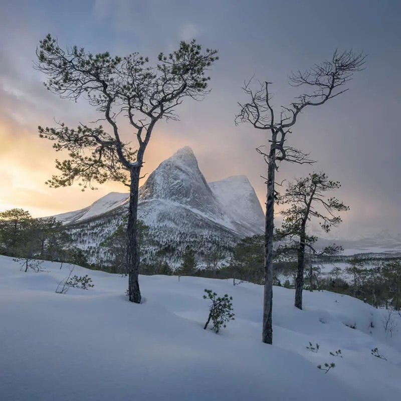 Grand Landscape - Highly Commended: Mathias Libor - Natural Landscape Photography Awards 2026 Winners