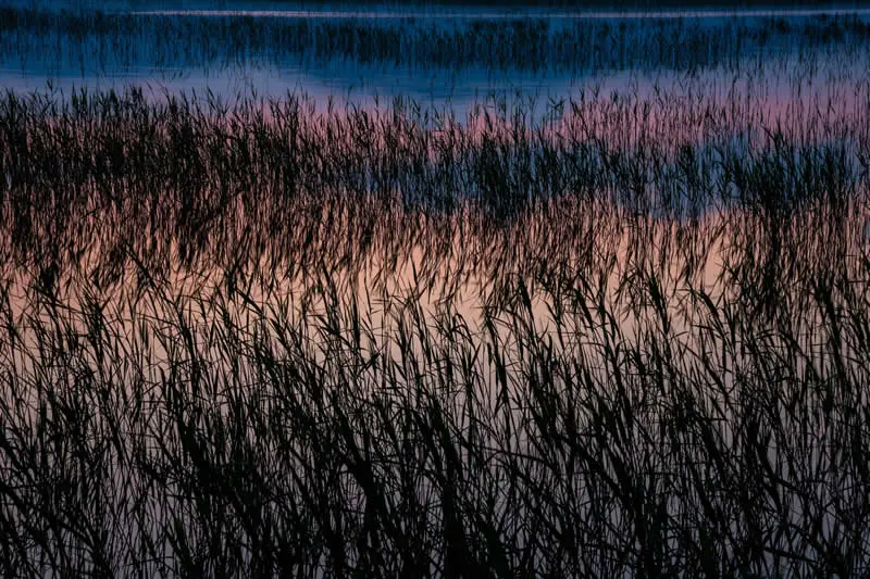 Intimate Landscape - Highly Commended: Rupert Kogler - Natural Landscape Photography Awards 2026 Winners