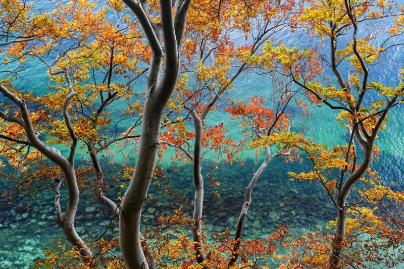 Intimate Landscape - Highly Commended: Johannes Kowalewski - Natural Landscape Photography Awards 2026 Winners