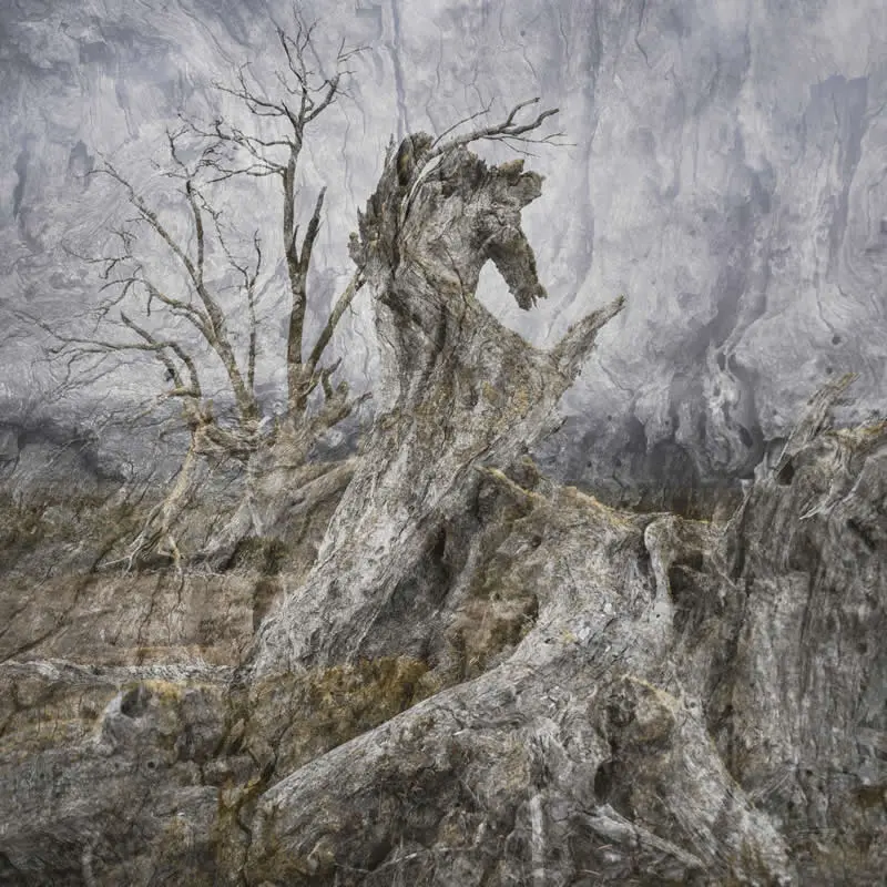 Abstract Landscape - Third Place: Joy Kachina - Natural Landscape Photography Awards 2026 Winners