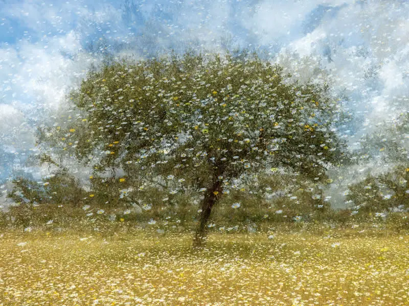 Abstract Landscape - Highly Commended: Karin de Jonge - Natural Landscape Photography Awards 2026 Winners