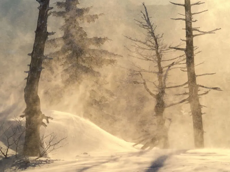 Project - 4th Place: Architecture of Cold by Misaki Nagao - Natural Landscape Photography Awards 2026 Winners