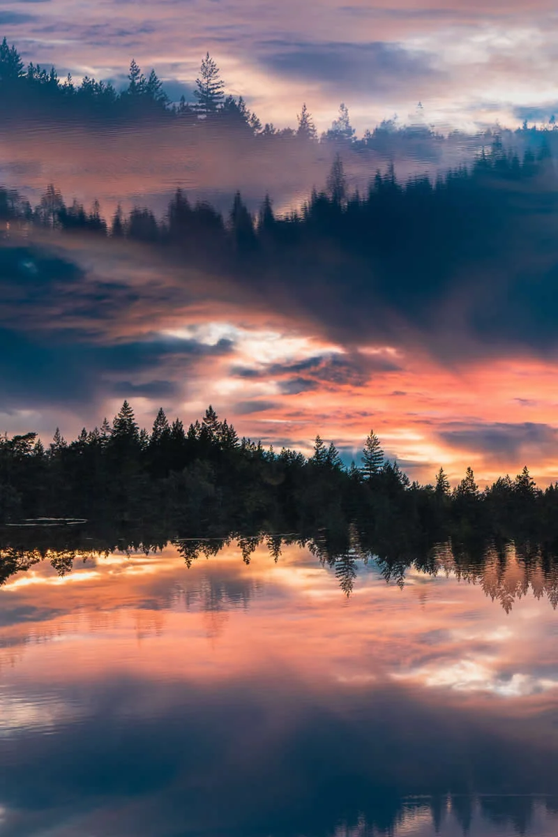 Multiple Exposure and ICM - Winner: Julian Lozinski - Natural Landscape Photography Awards 2026 Winners
