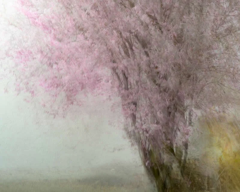 Multiple Exposure and ICM - Runner Up: Dylan Nardini - Natural Landscape Photography Awards 2026 Winners