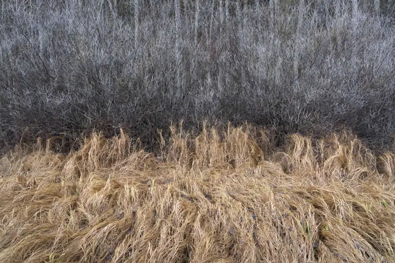 Common Places - Winner: Matt Redfern - Natural Landscape Photography Awards 2026 Winners