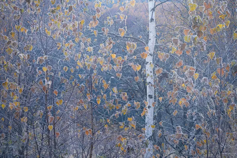 Common Places - Third Place: Ryota Tamura - Natural Landscape Photography Awards 2026 Winners