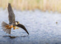Norfolk Wildlife Trust Competition Winners