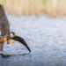 Norfolk Wildlife Trust Competition Winners