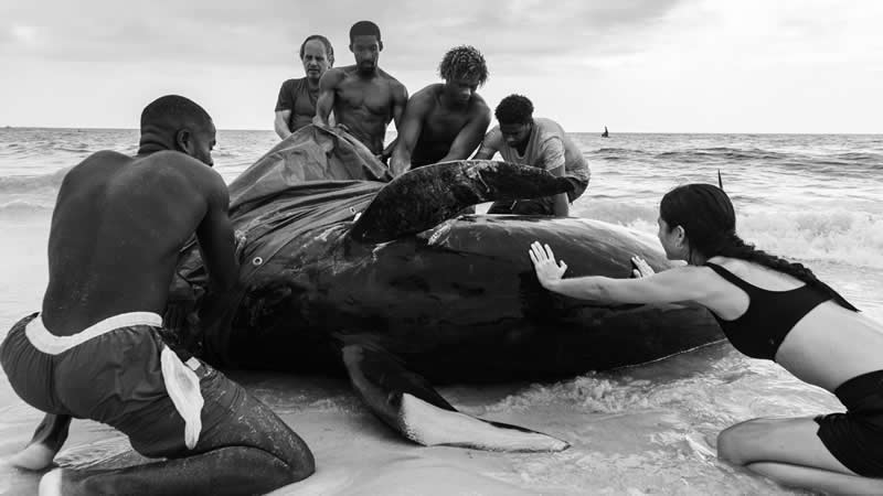 Human Connection Award: People & Planet Ocean - 1st Place: Rui Duarte - Ocean Photographer of the Year 2026 Winners