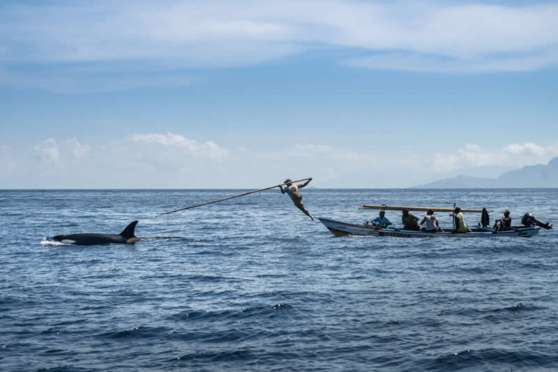 Human Connection Award: People & Planet Ocean - 2nd Place: Sirachai Arunrugstichai - Ocean Photographer of the Year 2026 Winners