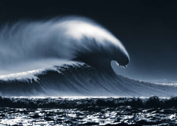Ocean Photographer of the Year 2026 Winners