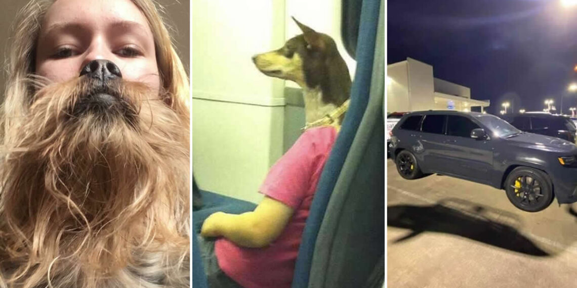 Weird Perspective Photos That Are Guaranteed to Confuse Your Brain