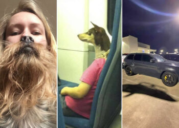 30 Weird Perspective Photos That Are Guaranteed to Confuse Your Brain 39 Weird Perspective Photos That Are Guaranteed to Confuse Your Brain