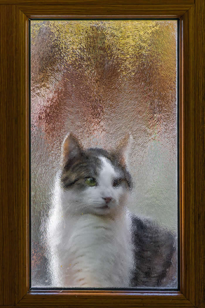 His majesty demands the door to be opened - Photos looks like Paintings