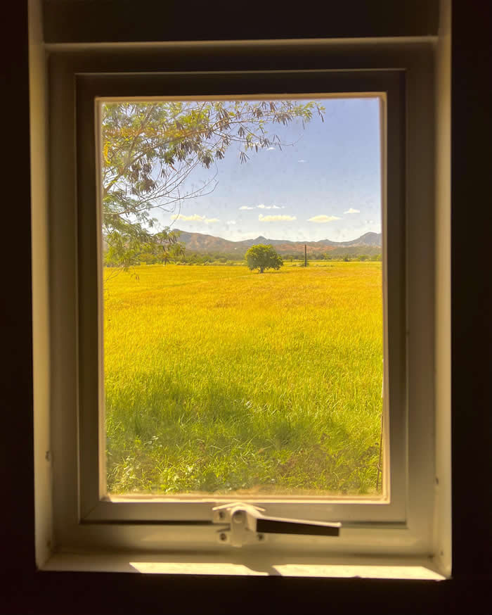 My window&rsquo;s view looks like a painting - Photos looks like Paintings