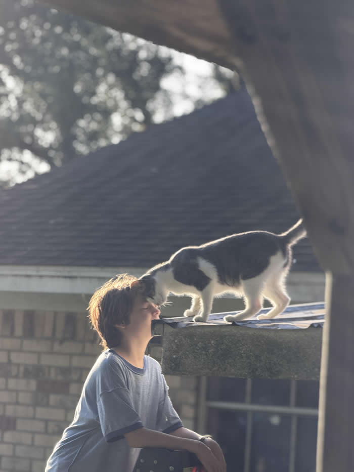 An early morning &ldquo;rescue&rdquo; turned renaissance moment - Photos looks like Paintings