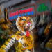 Puli Kali Tiger Dance Kerala Thrissur by Sreejith Kaviyil
