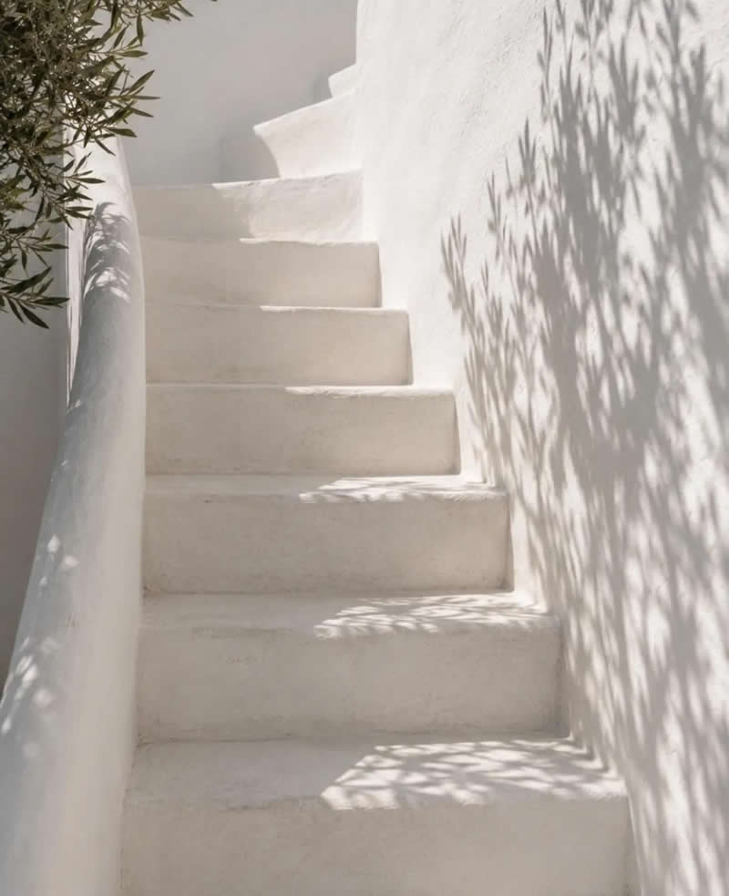 Olive Tree Shadow: Photography by Evaggelia Merisioti - Simple is Beautiful in Photography