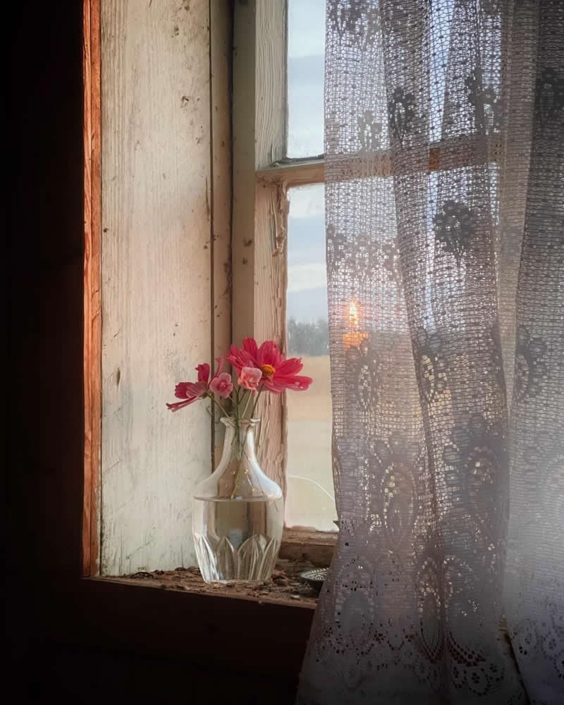 Quiet by the Window: Photography by Marianne Onsvaag - Simple is Beautiful in Photography