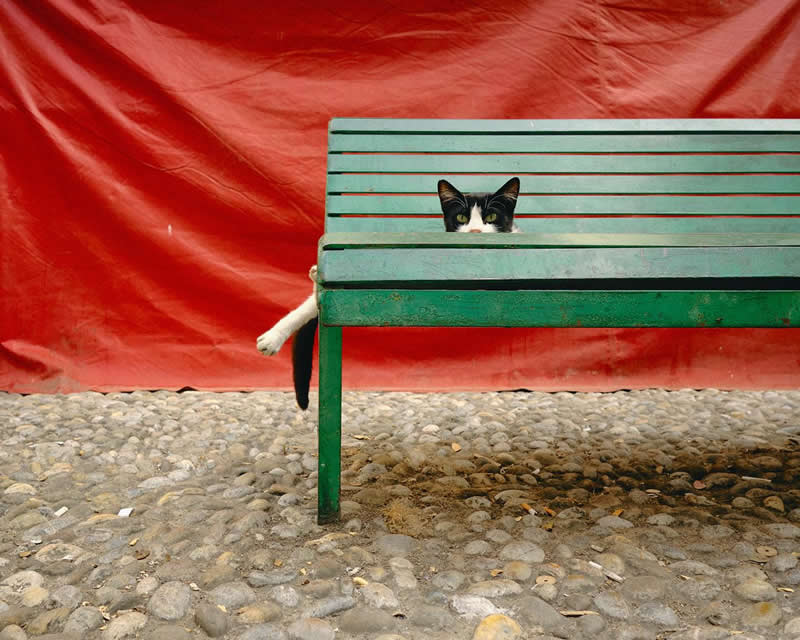 Can You See Me?: Photography by Francesco Cucchiara - Simple is Beautiful in Photography