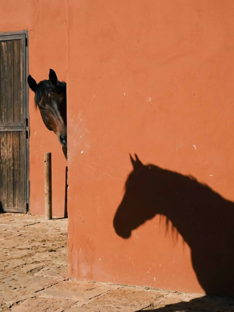 A Conversation Between Light and Shadow: Photography by Mo Hushi - Simple is Beautiful in Photography