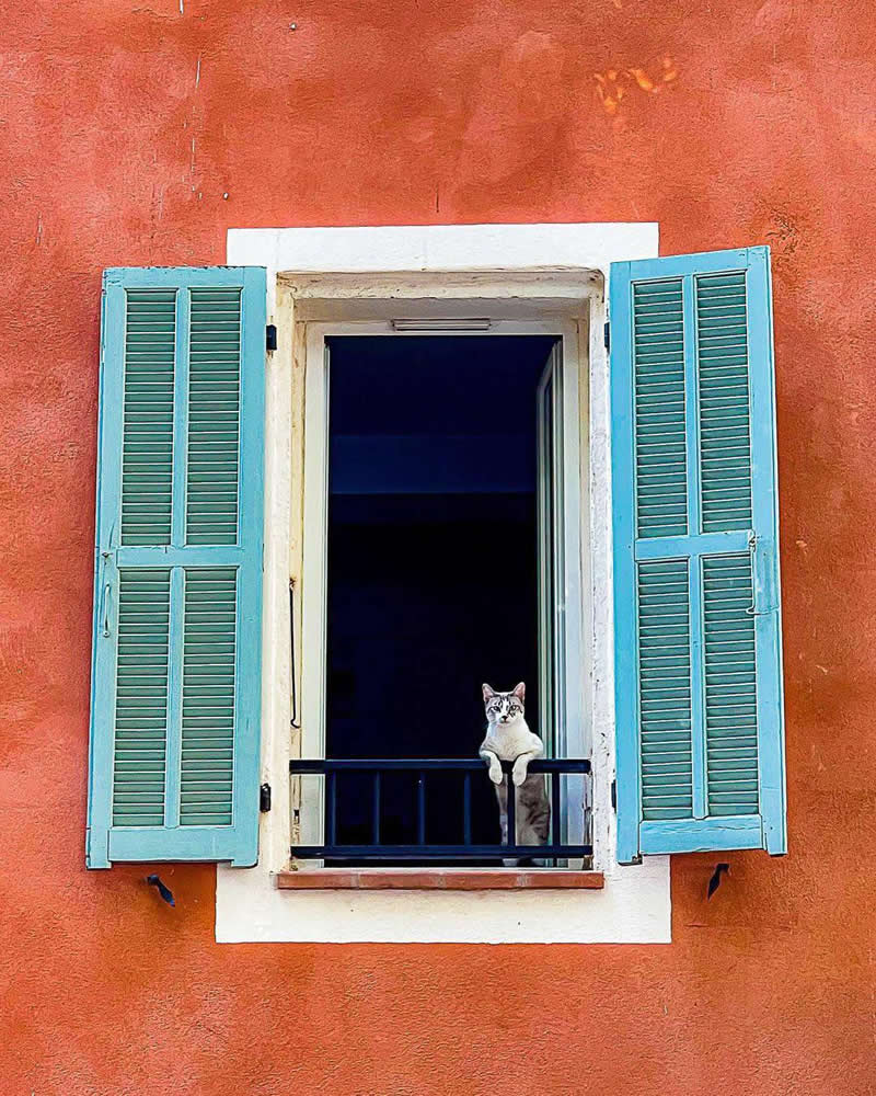 Behind the Blue Shutters: Photography by Sylvain Reybaut - Simple is Beautiful in Photography