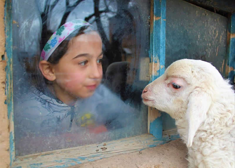 Sometimes, the most meaningful conversations happen without words: Photography by Samuel Voskanyan - Simple is Beautiful in Photography