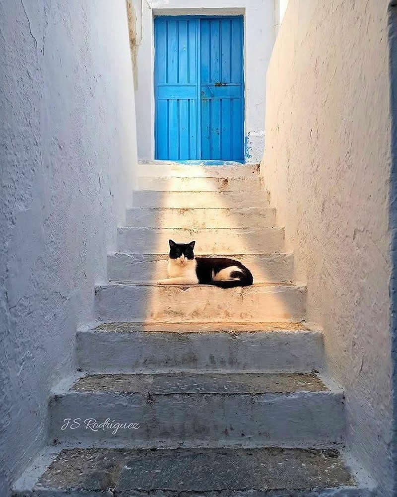 What do you think is waiting behind that blue door?: Photography by JS Rodriguez - Simple is Beautiful in Photography