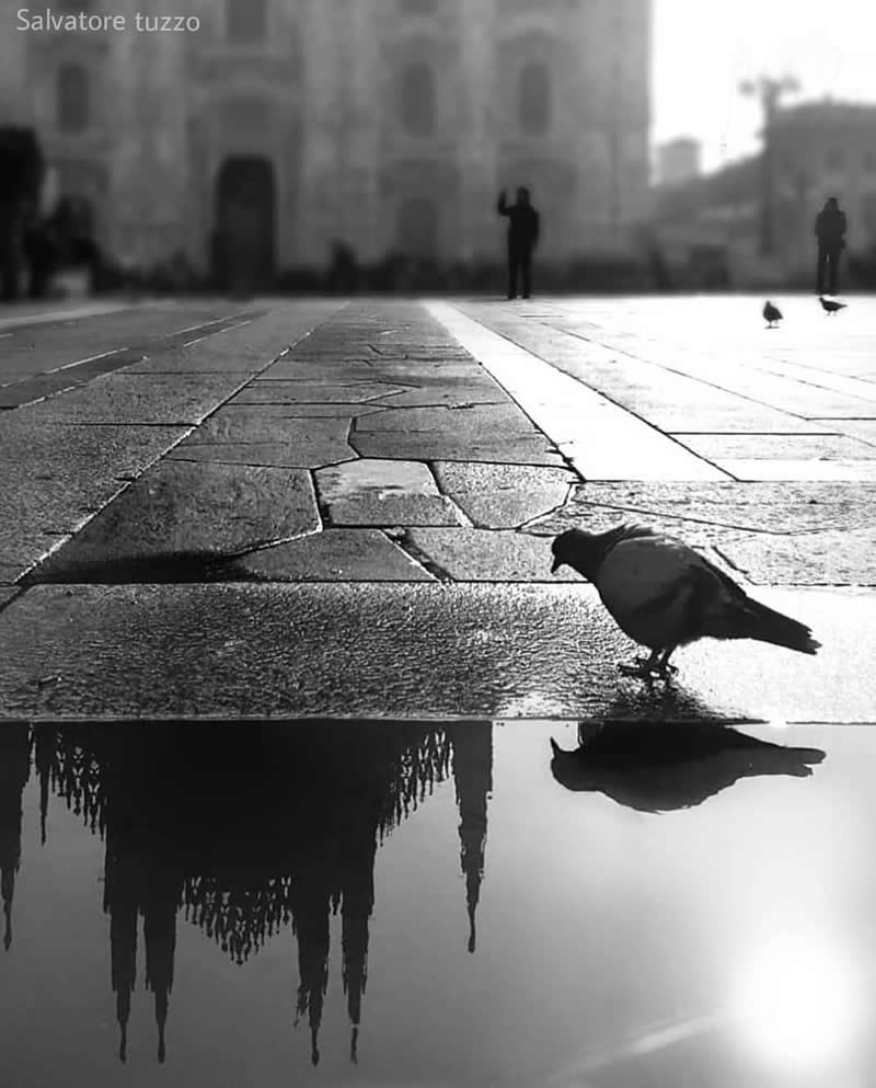 A Sip of the City, Milan, Italy: Photography by Salvatore Tuzzo - Simple is Beautiful in Photography