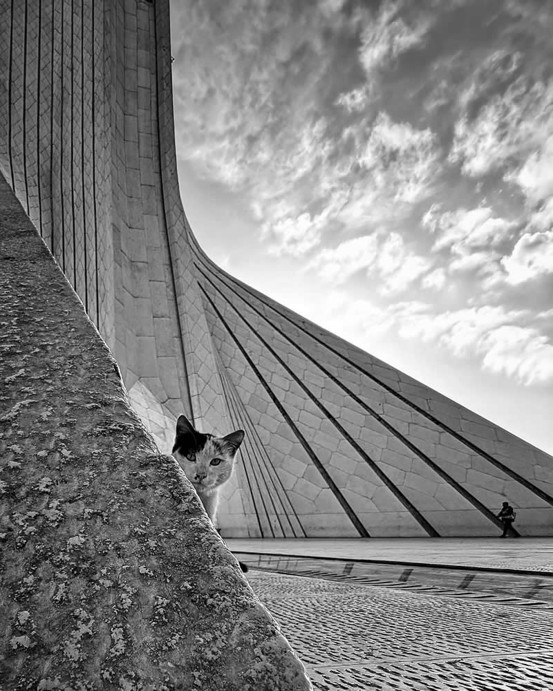 A Curious Visitor, Azadi Tower, Tehran, Iran: Photography by Akbar Mehrinezhad - Simple is Beautiful in Photography