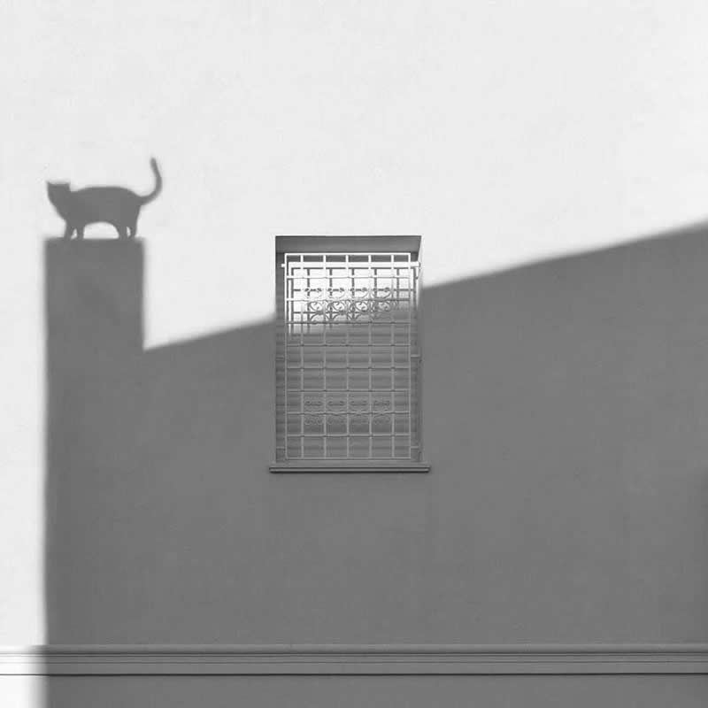 When Light Draws a Cat: Photography by Kanin Hisao  - Simple is Beautiful in Photography